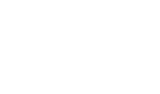 intocarry_logo